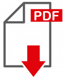 pdf icon