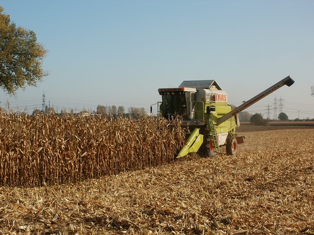 Decretan incentivos tributarios por el aprovechamiento de nuevas plantaciones Forestales - Decreto 1638 de dic 14 de 2020 3 corn 837815 640