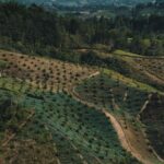 Vista aérea de terrenos agrícolas en zona rural