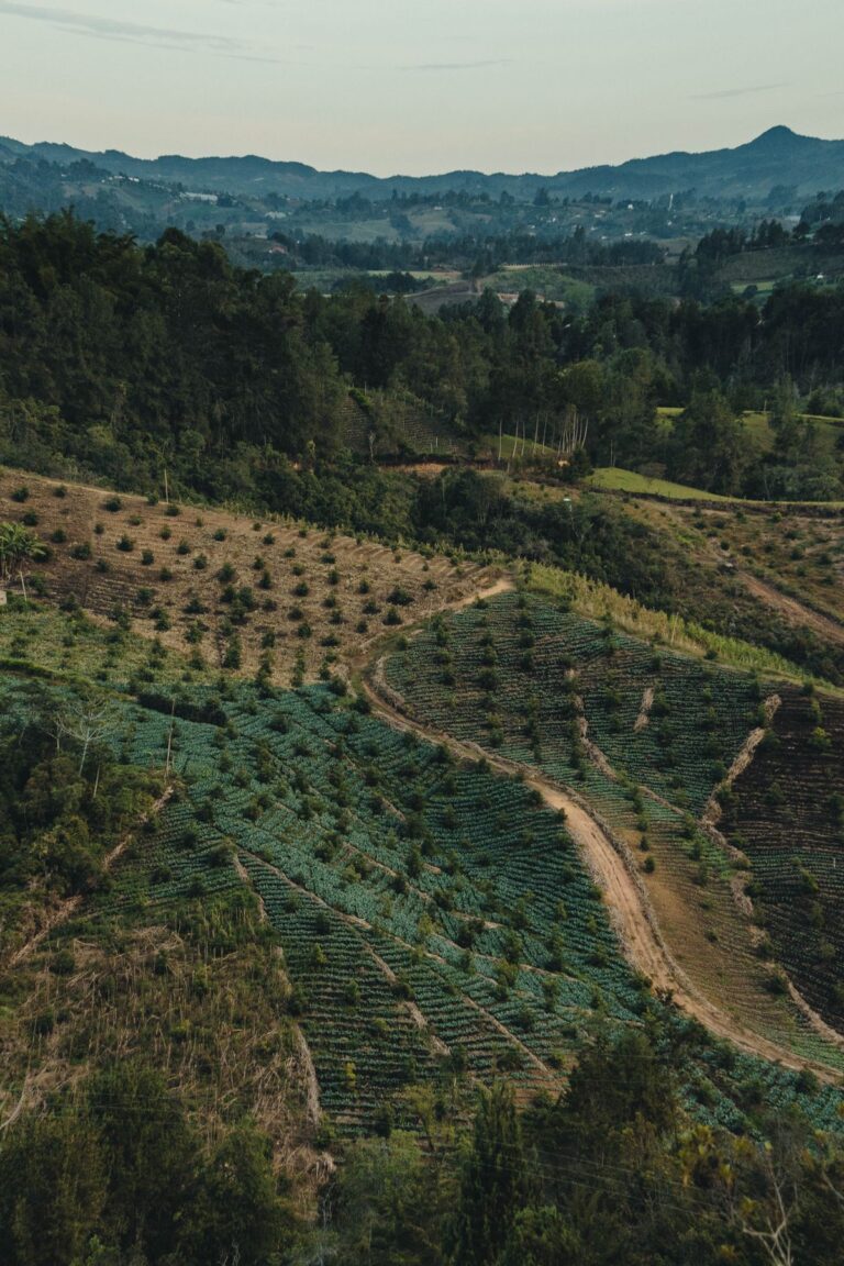 Vista aérea de terrenos agrícolas en zona rural