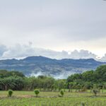 Concepto DAF 043968 del 16-06-2026. Territorial. Impuesto predial. Término para pedir la devolución de pagos en exceso por modificación del avalúo catastral. Predio rural con cultivos y montañas al fondo