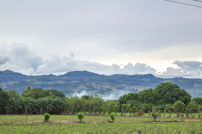 Predio rural con cultivos y montañas al fondo